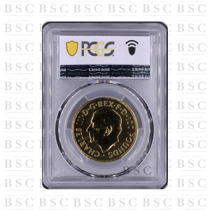 2025 1oz £100 Tudor Beasts Queen's Panther Gold Coin - PCGS MS67