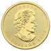 2019 1oz Canadian Maple Leaf Gold Coin - MS69 - BSC Collectibles